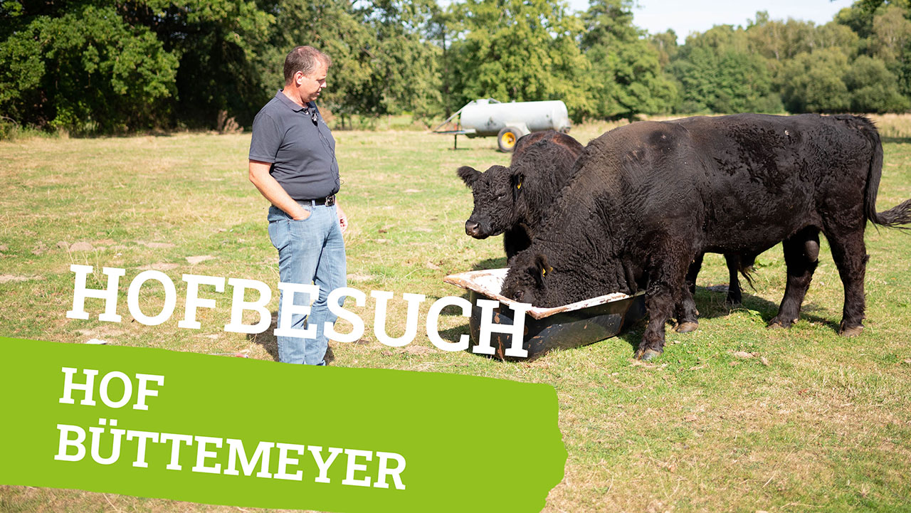 Landwirt auf Weide mit Rindern