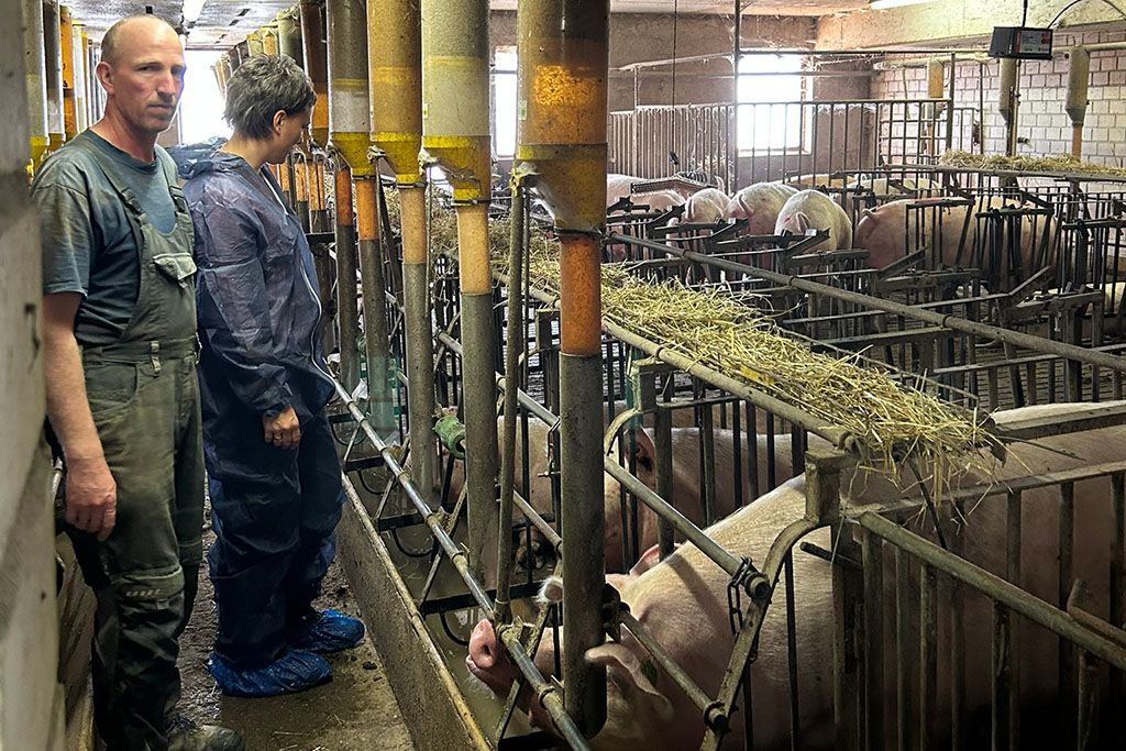 André Meyer & Sarah Dhem im Sauenstall