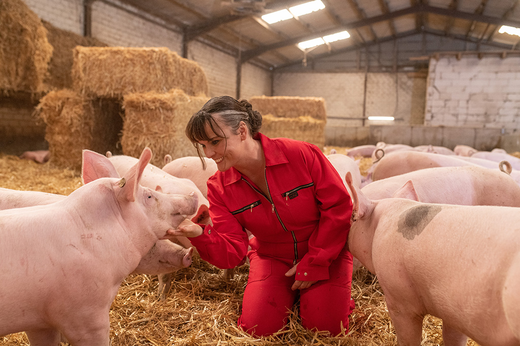 Gaby Mörixmann mit verscheinen Schweinen in ihrem Aktivstall