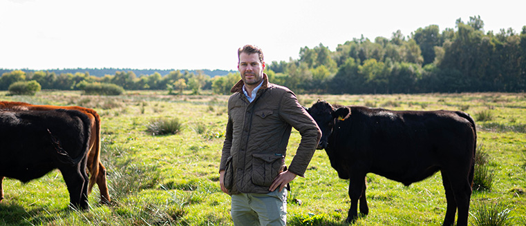 Jens Wester auf Rinderweide