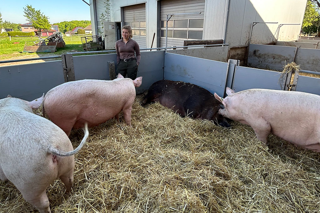 Landwirtin mit Sauen im Außenbereich