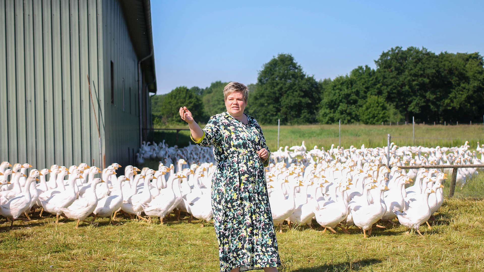 Landwirtin auf Gänseweide, im Hintergrund viele Gänse