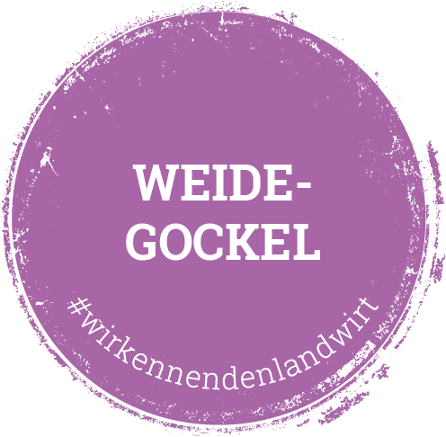 Kalieber Weidegockel Button Weidegockel
