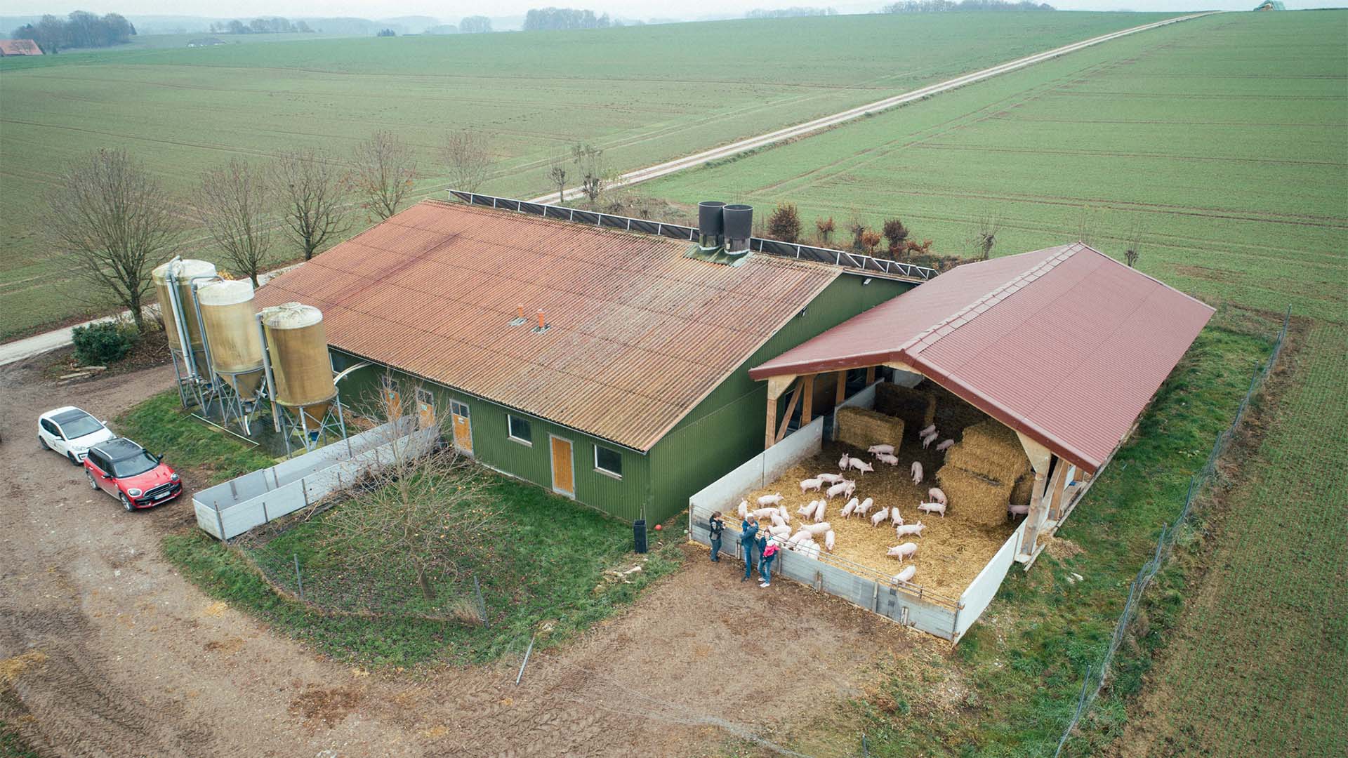 Aktivstall für Schweine von oben