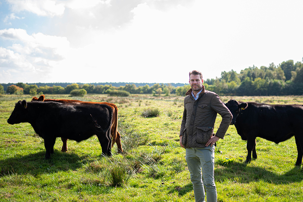 Landwirt auf Rinderweide