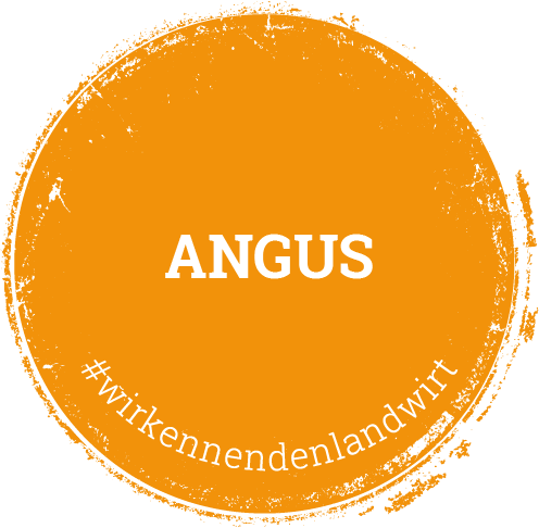 Kalieber Angus-Rind Button Angus-Rind