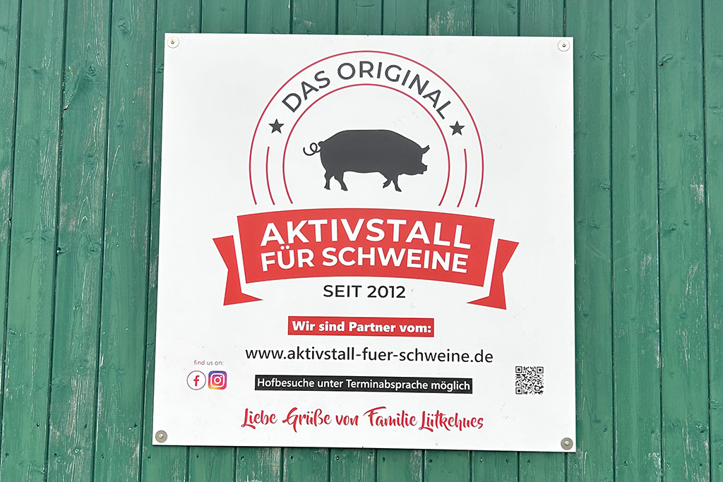 Schild Aktivstall für Schweine