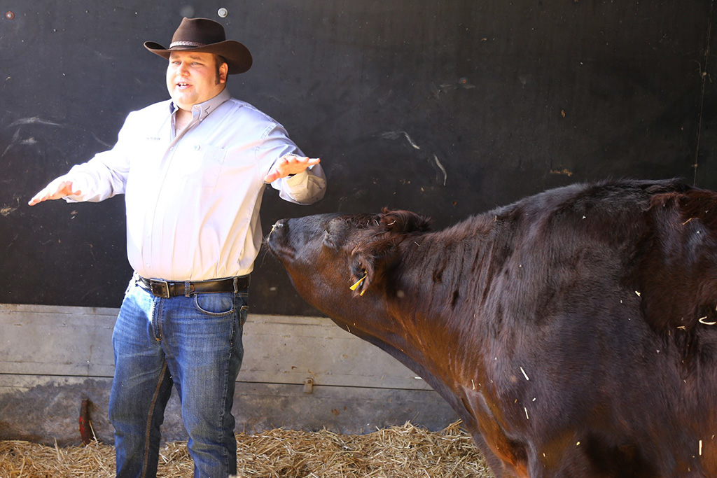 Dieter Ruhe & Wagyu-Rind