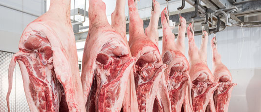 hängende Schweinehälften