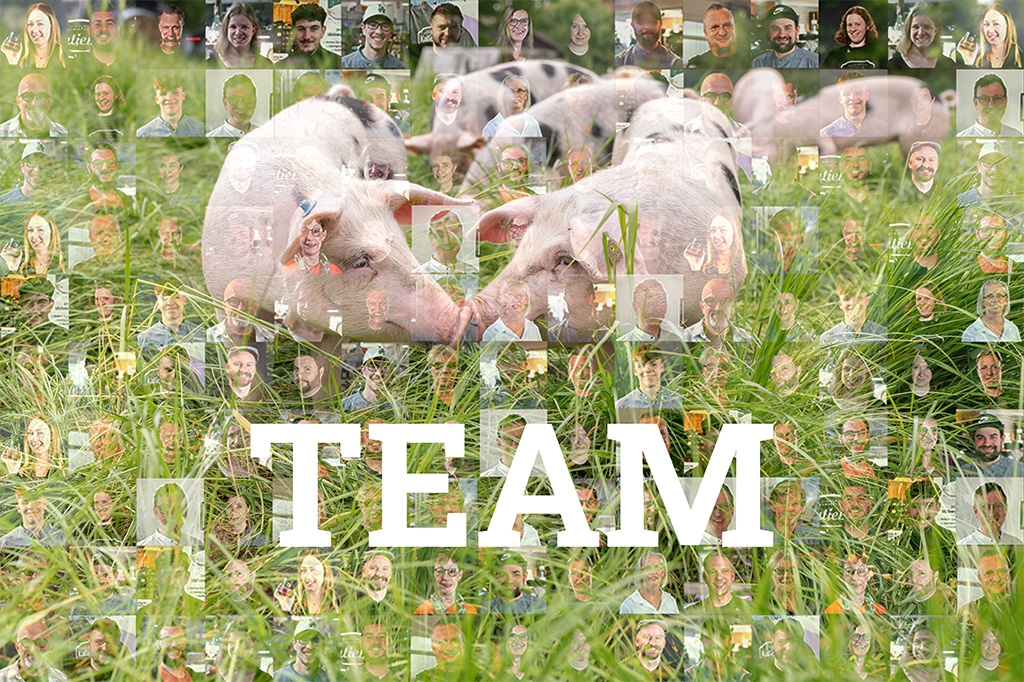 Kalieber-Team Wort „Team“, zwei Schweine auf Weide, der Hintergrund des Bildes besteht aus Miniatur-Bildern des Kalieber-Teams